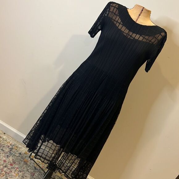 Veeca Black Sheer Crinkle Skirt Dress with Cap Sleeves - Size Small - Picture 4 of 14